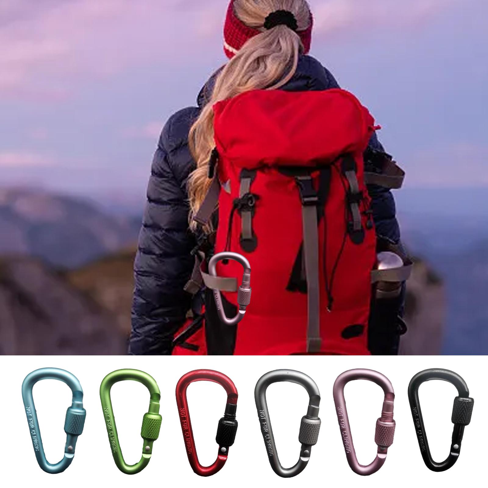 Moschettone a D in Alluminio p - Carabiner Locking D recensione e prezzo