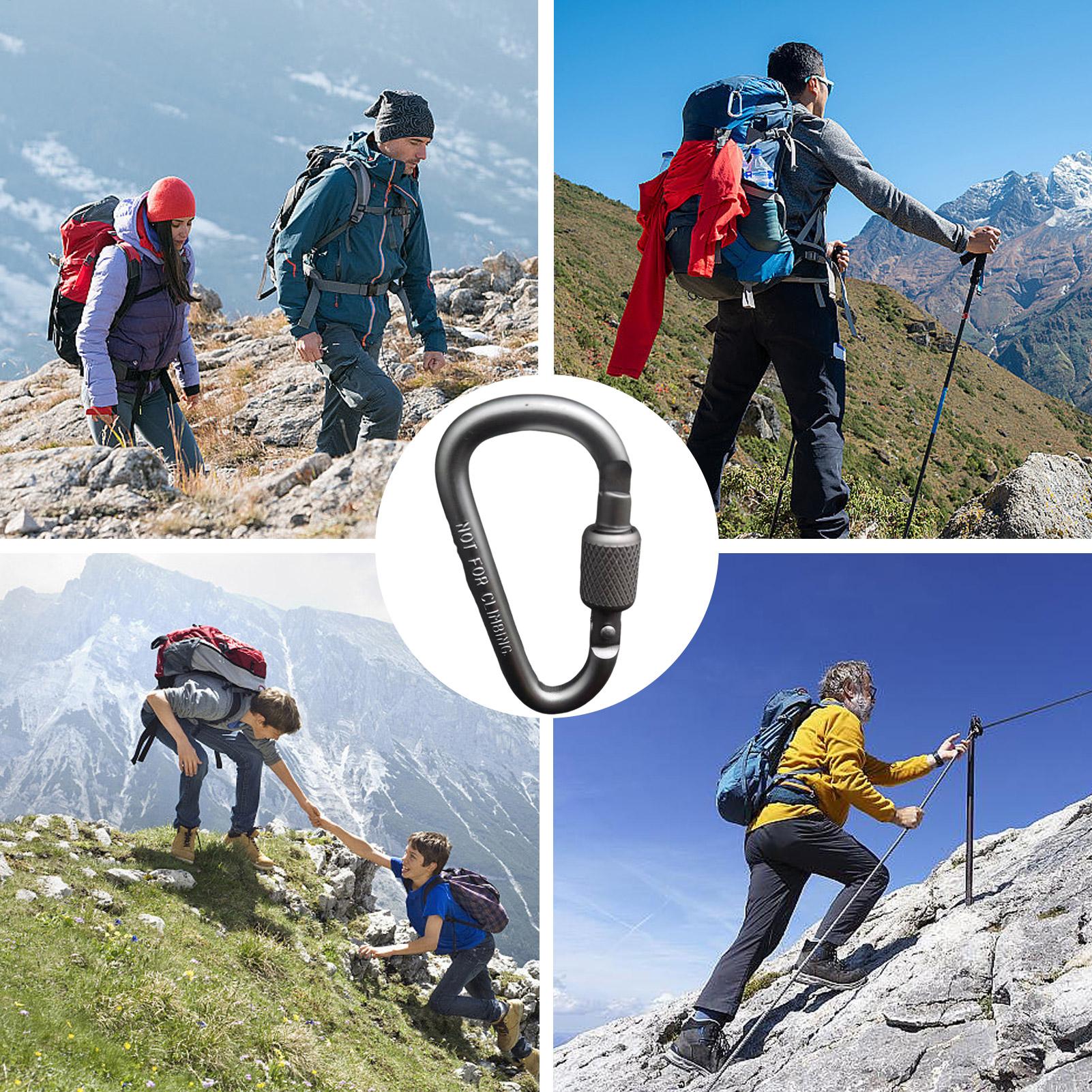 Moschettone a D in Alluminio p - Carabiner Locking D recensione e prezzo
